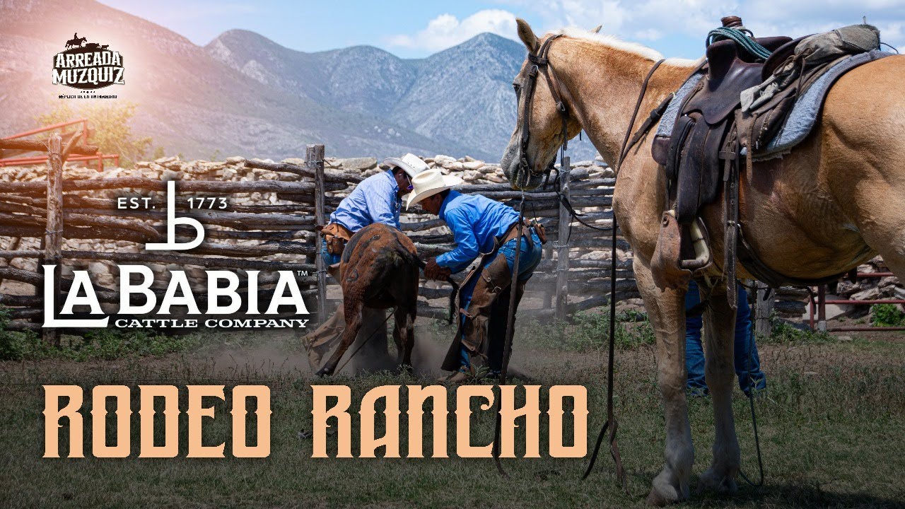 La vida del vaquero en La Babia | Documental desde Múzquiz, Coahuila