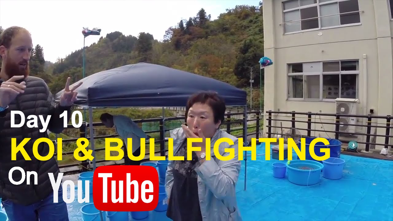 #8 Koihunt Koivoershop videoverslag Japan dag 10, 2015 Nagaoka Koi show