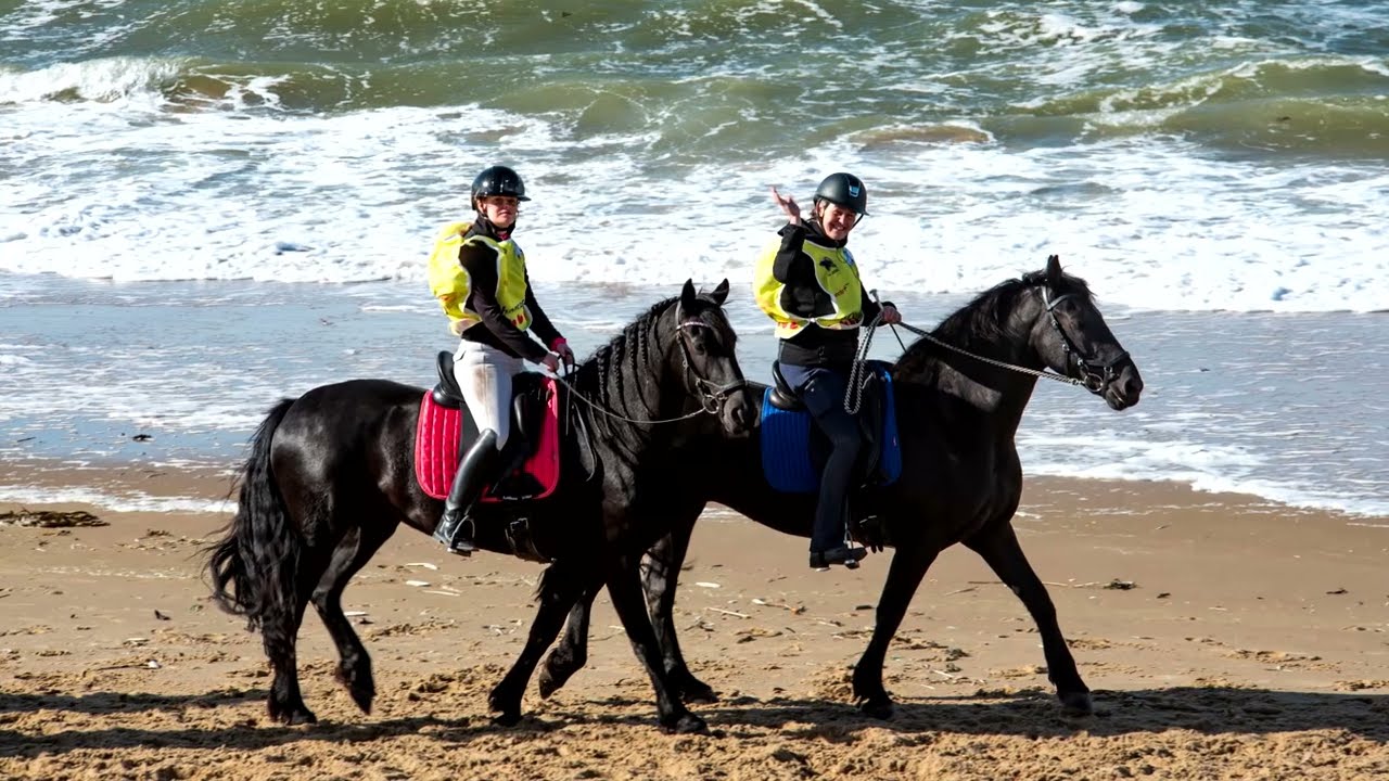 Strandrit Friese paarden 2023