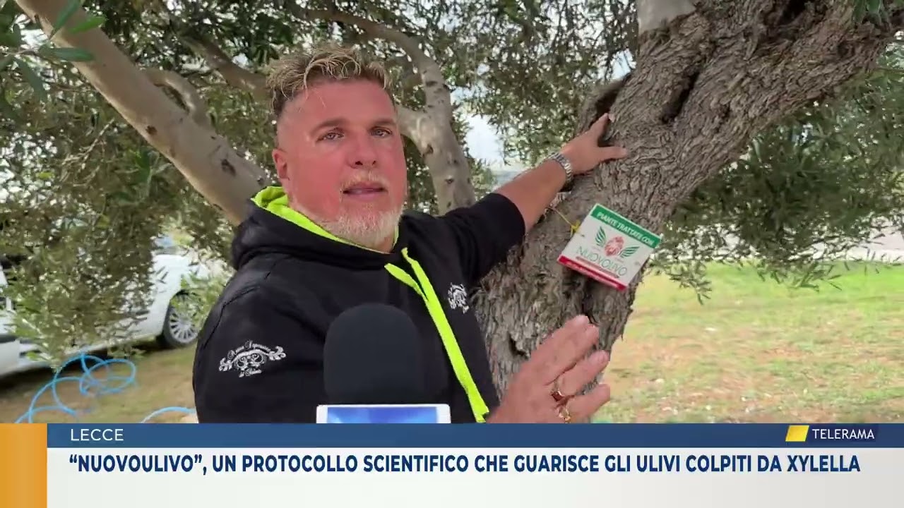 &ldquo;NuovoUlivo&rdquo;, un protocollo scientifico che guarisce gli ulivi colpiti da xylella