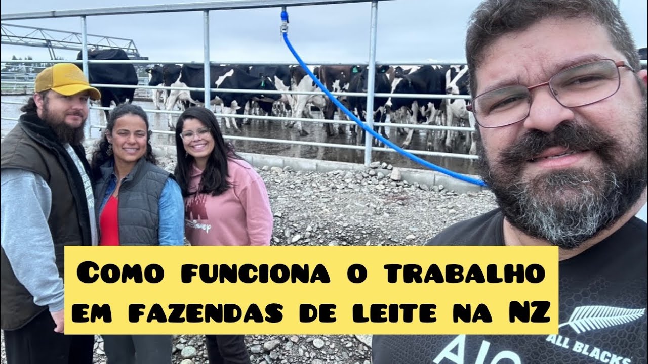 Como funciona trabalhar em Fazenda de leite na Nova Zelândia