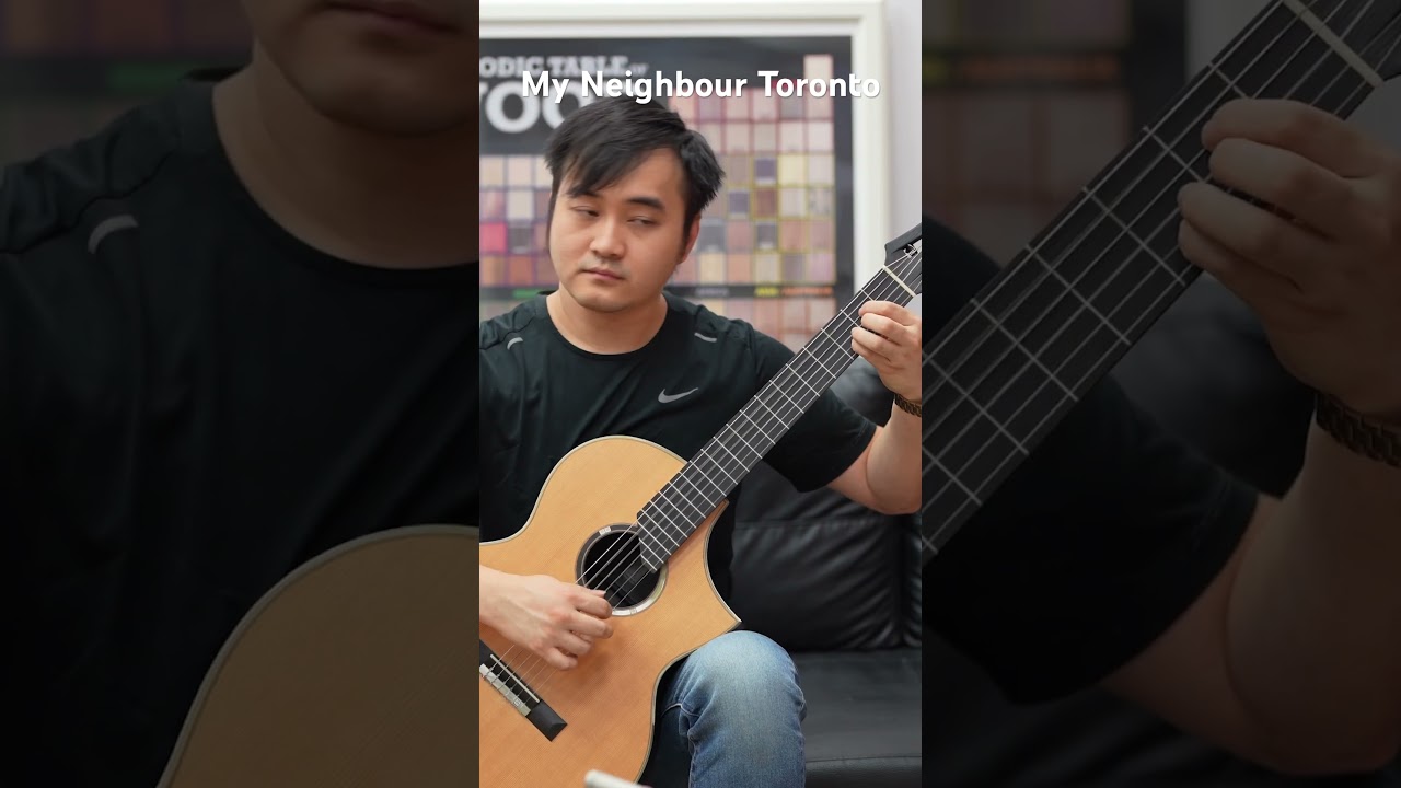 my neighbor totoro guitar