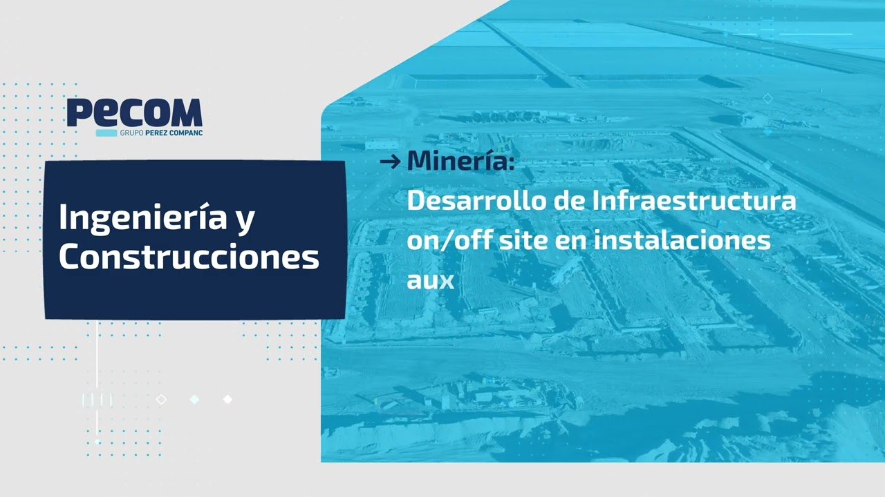PECOM: &iquest;Qu&eacute; hacemos?