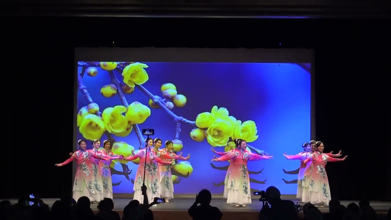 戏曲古典舞 《黄梅悠悠》 Opera and traditional dance 