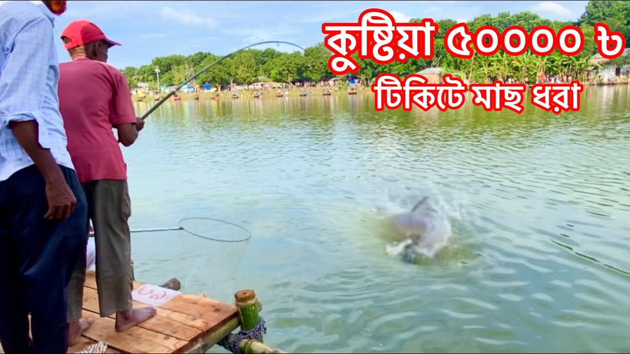 কুষ্টিয়া ভেরেমারা ৫০ হাজার টাকার টিকিটে মাছ ধরা । || Big Fish 🎣 Fishing 🎣 Fishing Video 2025