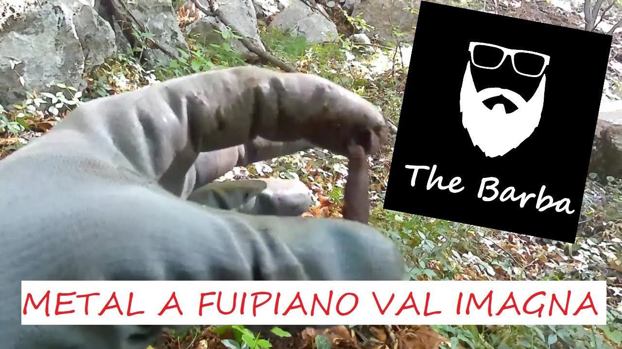 Metal detector a Fuipiano in val Imagna