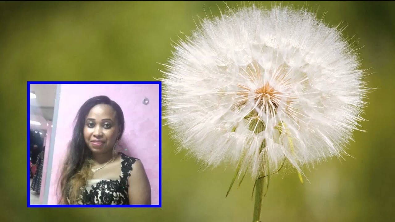 Zaza comores gounego boure