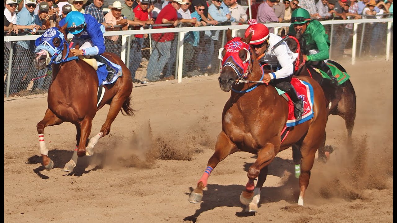 Carreras de Caballos en Santa Ana 20 Julio 2025