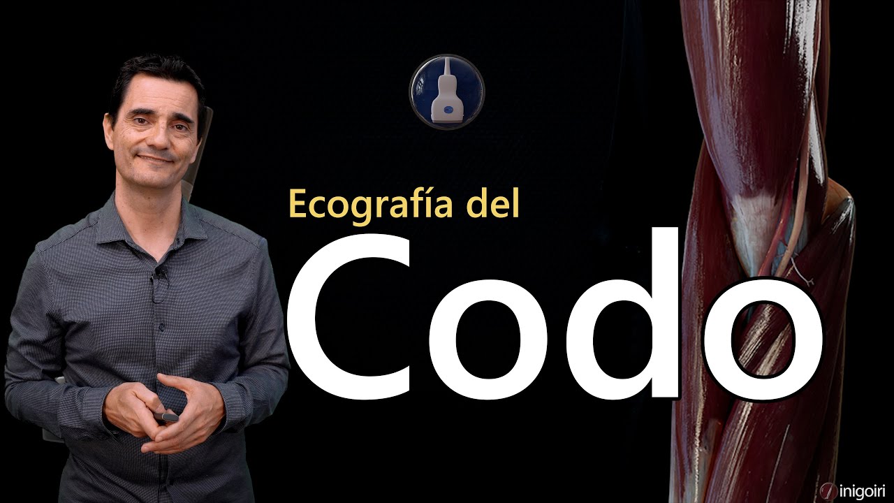 ECOGRAFÍA DEL CODO: CARA ANTERIOR (PARTE I) | Huesos y Articulaciones Paso a Paso