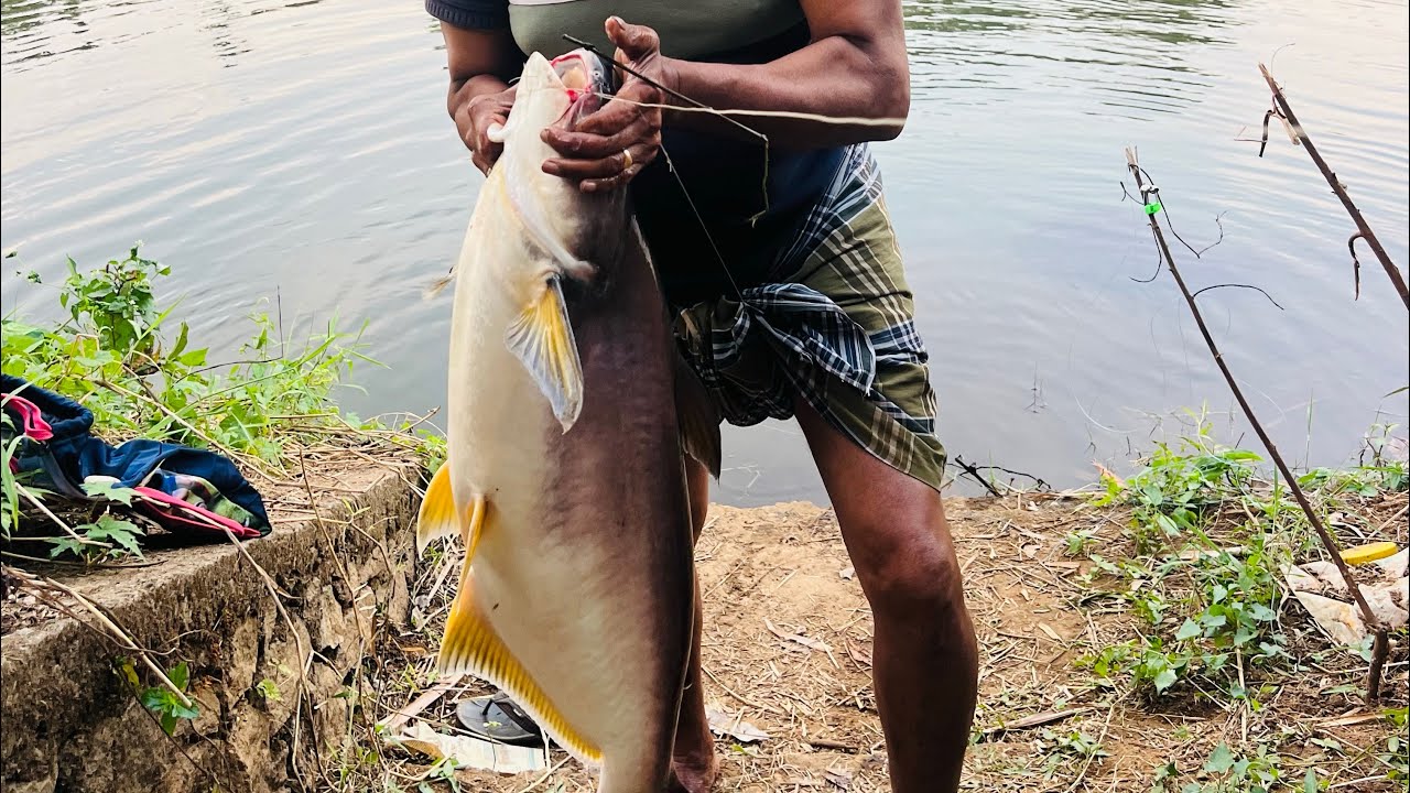 #fishing