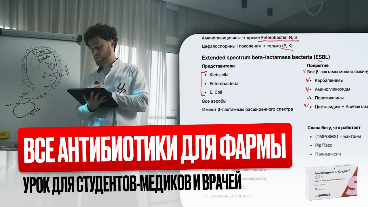АНТИБИОТИКИ | Классификация, Спектр, Механизм Действия, Эмпирическая терапия, Побочные