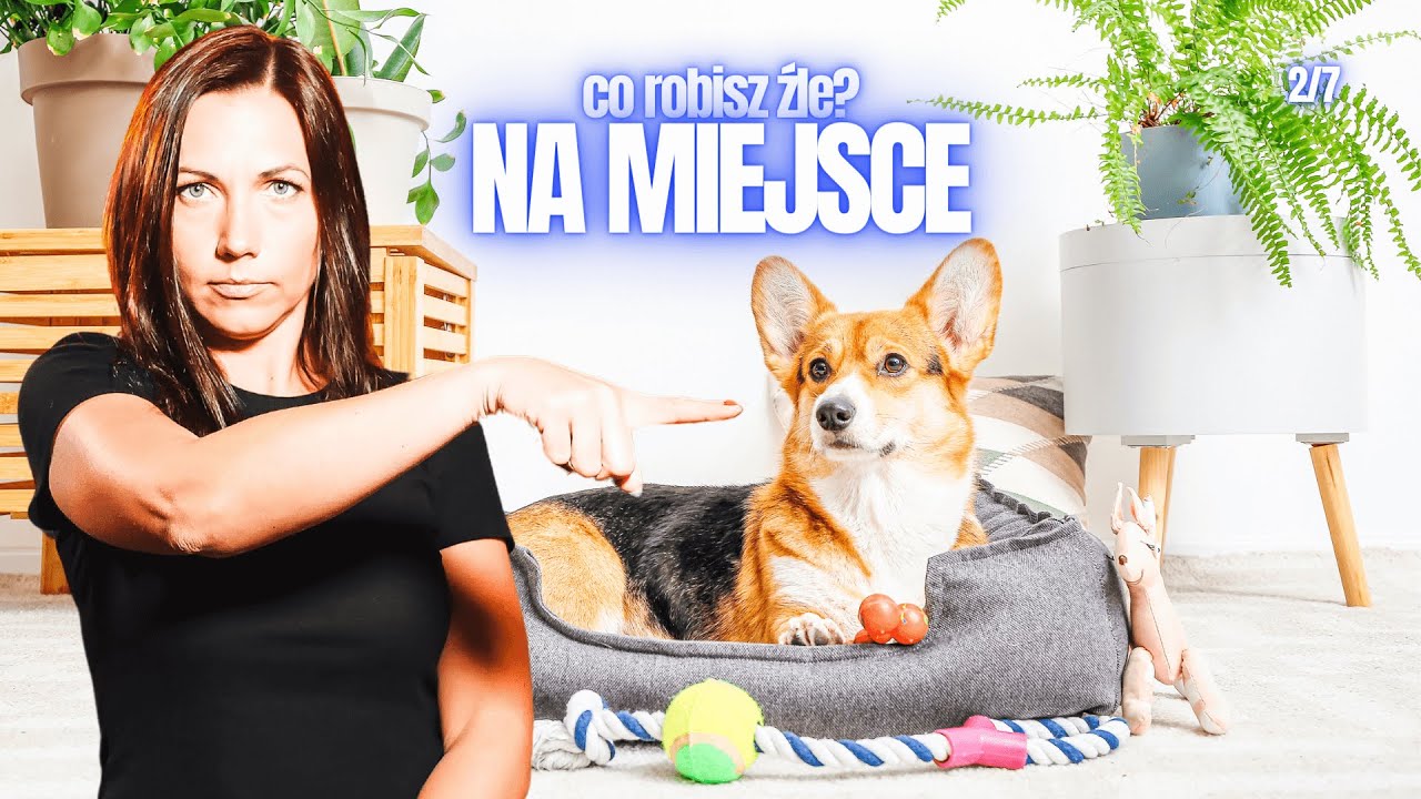 5 podstawowych błęd&oacute;w przy nauce komendy NA MIEJSCE