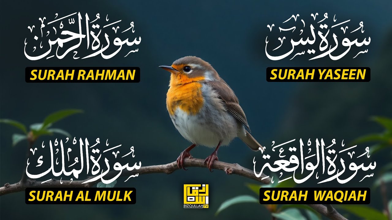 Beautiful Surah Yaseen (Yasin) | Surah Rahman | Surah Waqiah | Surah Mulk EP180