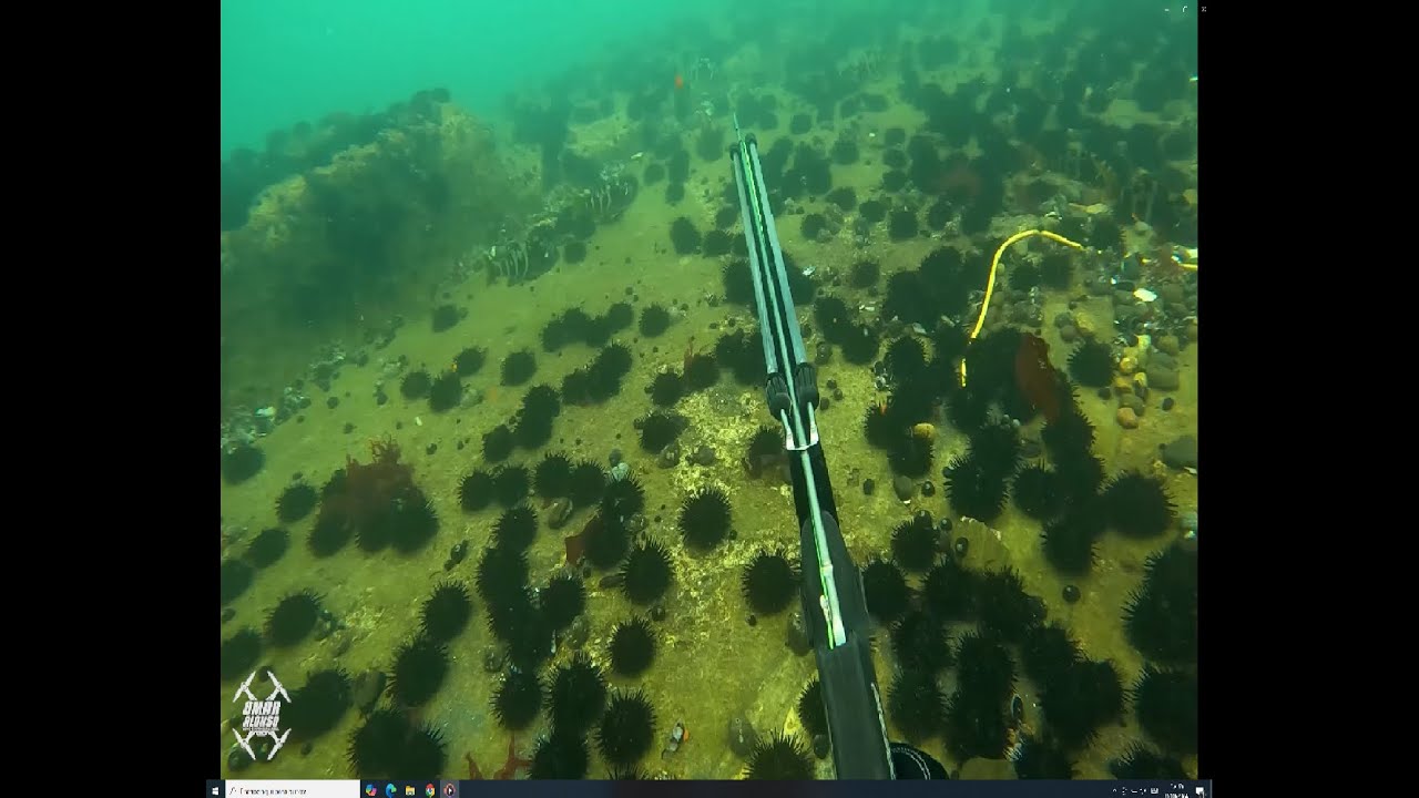 Pesca Submarina en el Callao 2.0