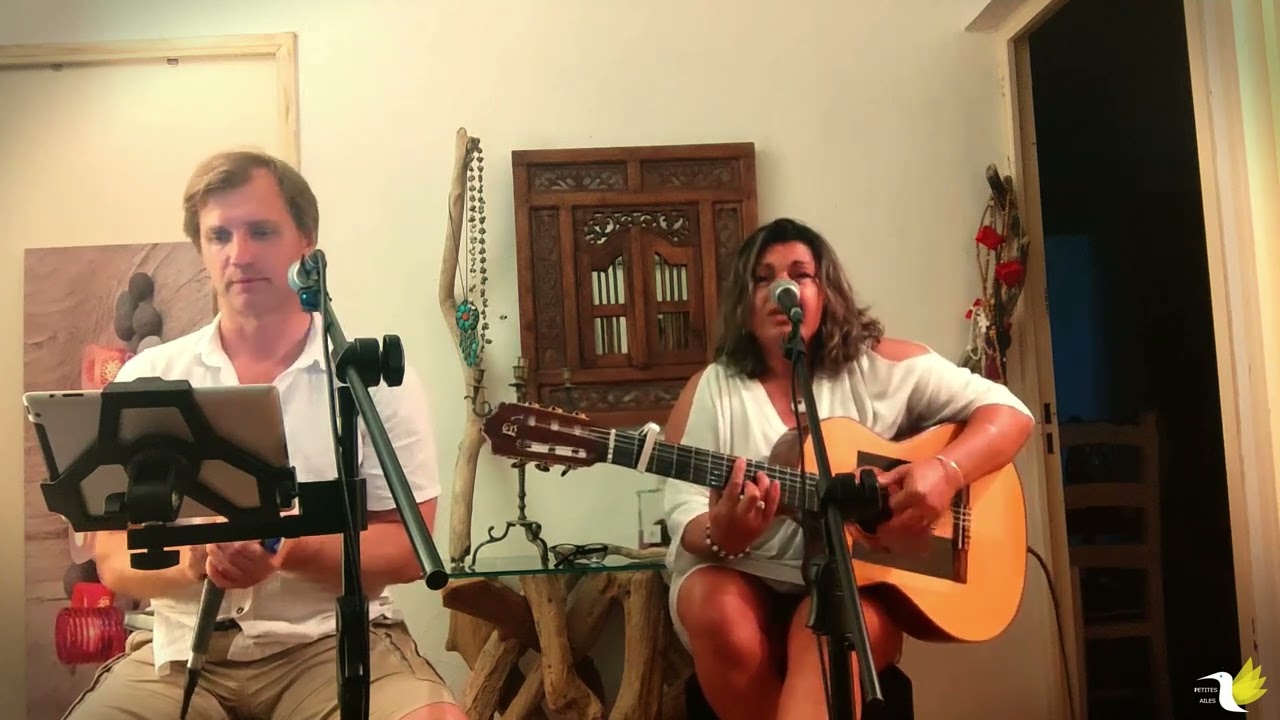 Habibi (Cover), Harmonica, Guitare , Voix