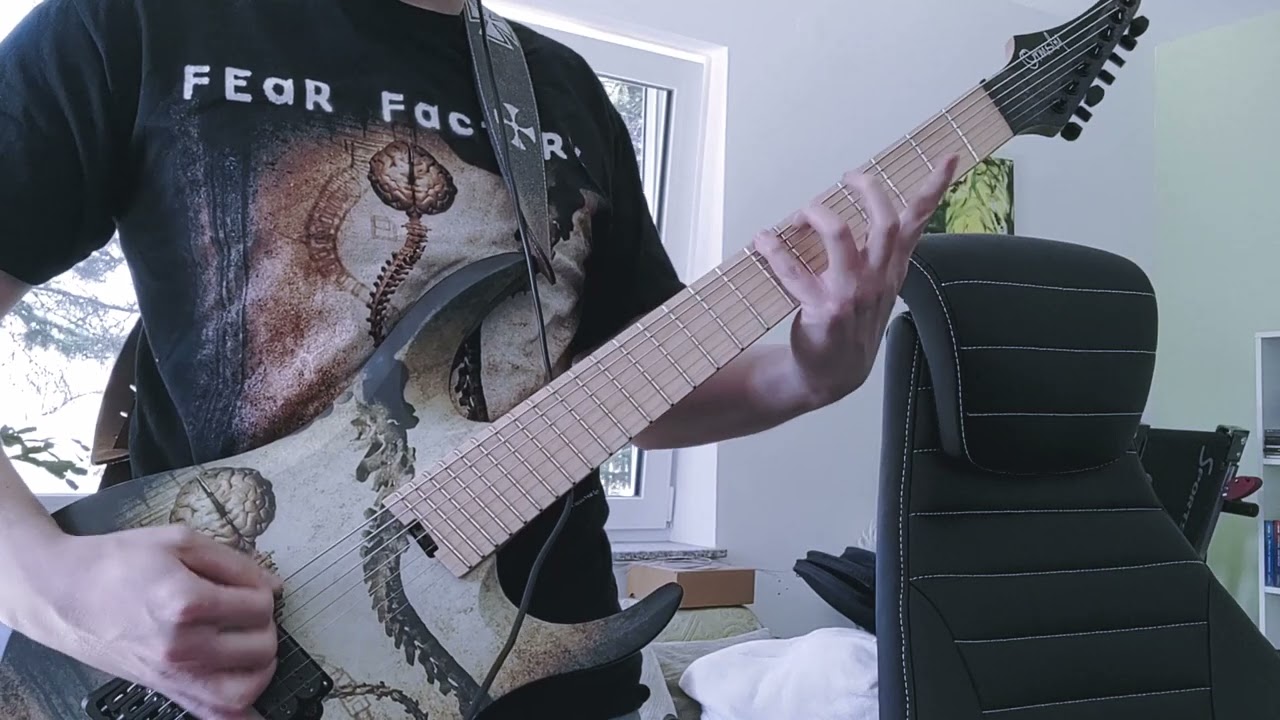 Fear Factory - Freedom Or Fire (guitar cover)