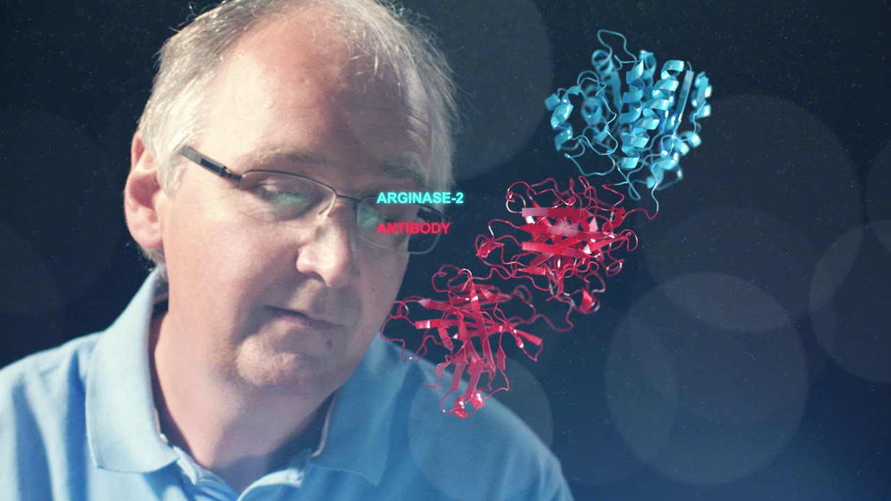 Leicester Institute of Structural & Chemical Biology - Professor Mark Carr