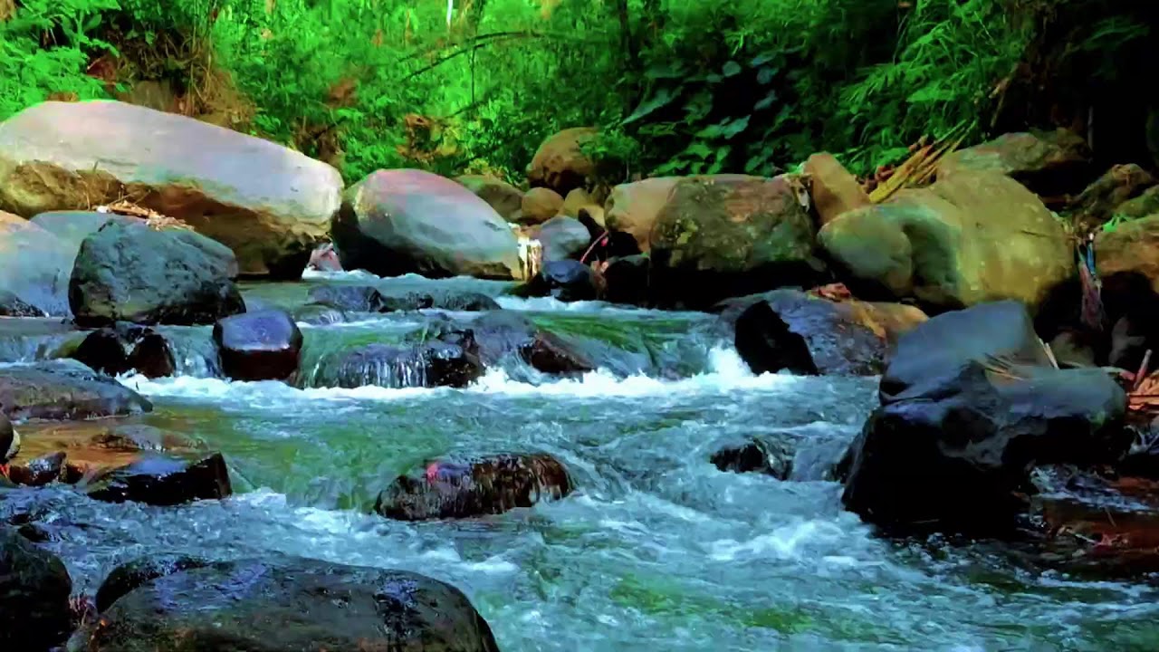 Soothing River Sounds for Deep Sleep | Nature Relaxation & White Noise