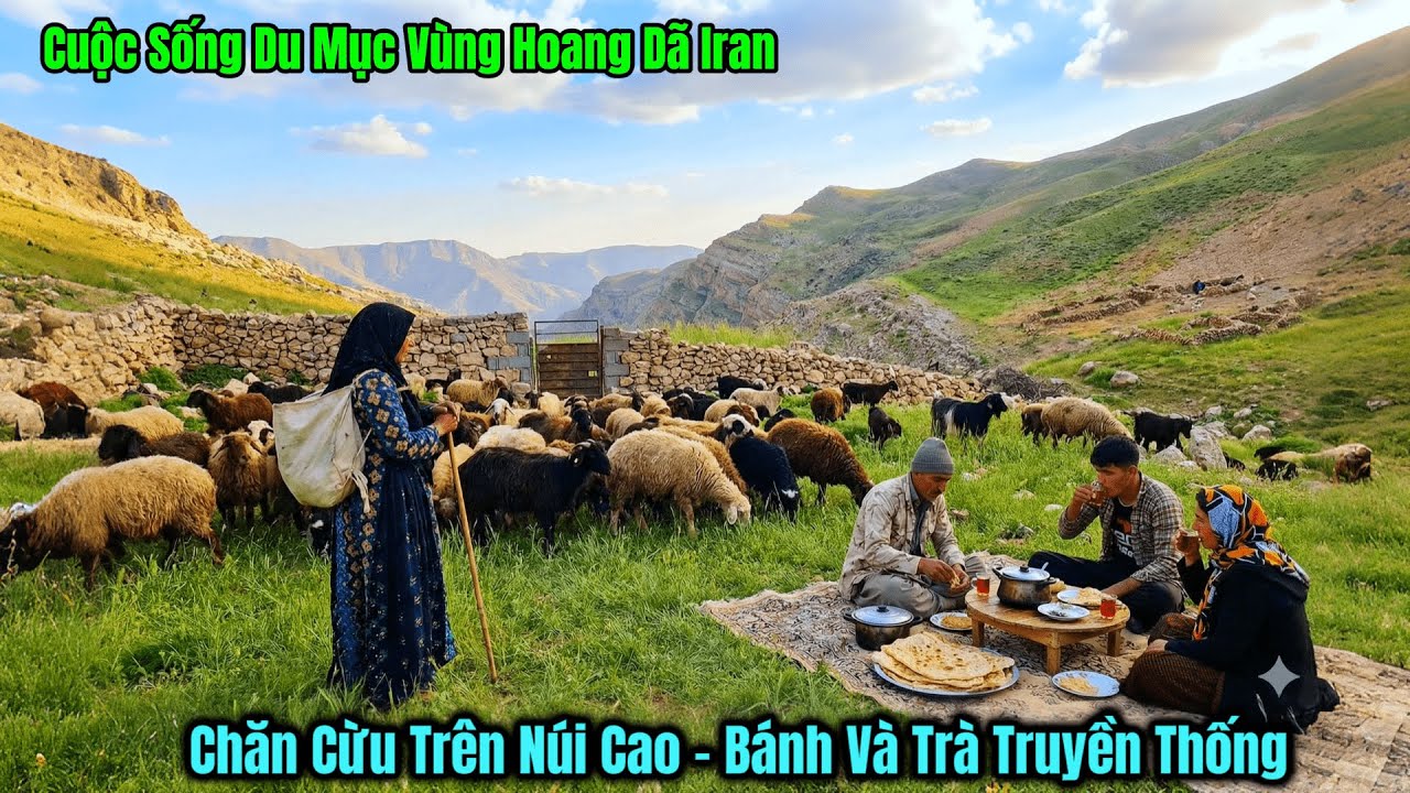 Cuộc Sống Du Mục Iran -Gia Đình Nade Chăn Cừu Sinh Tồn Trên Núi Cao Zagos