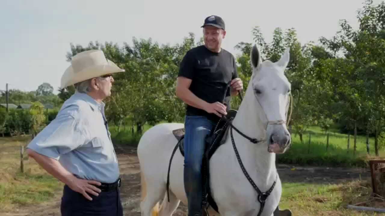 Horsing around with Awareness - Conscious Horse Conscious Rider
