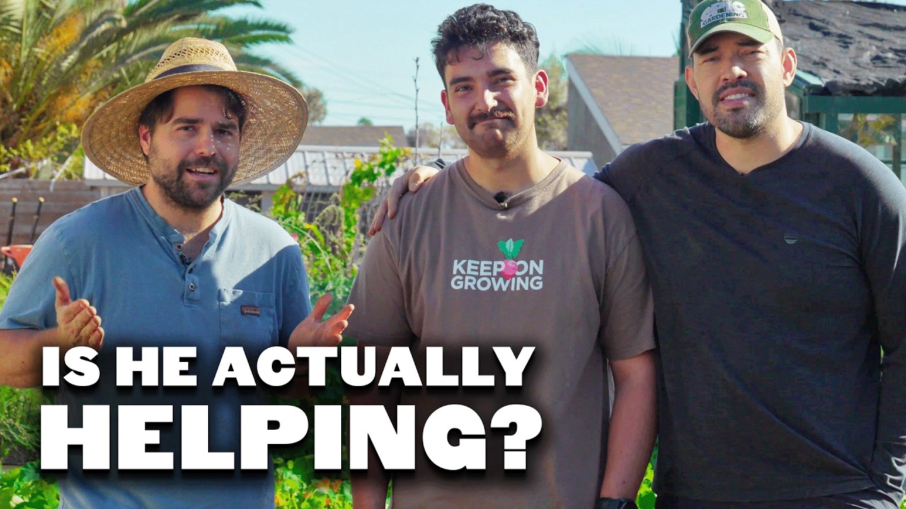 Finally Planting Tomatoes (& The Truth About @jacquesinthegarden)