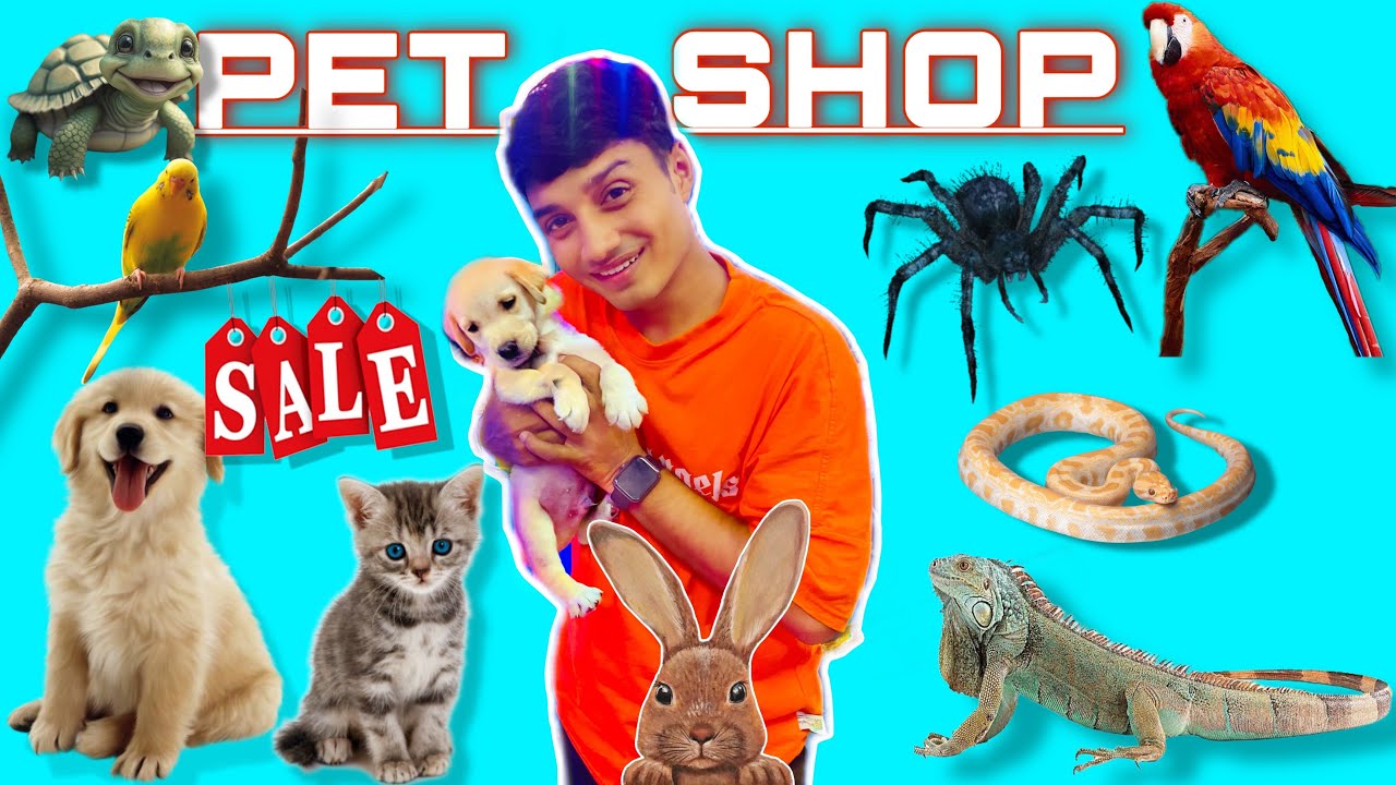 Cheapest dog market in mumbai || Crawford Market || All types of pet available.