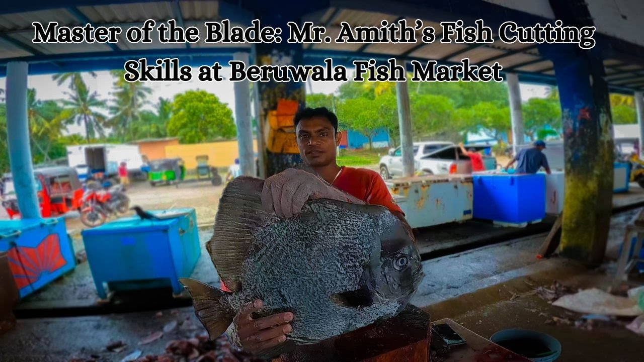 Master of the Blade: Mr. Amith&rsquo;s Fish Cutting Skills at Beruwala Fish Market