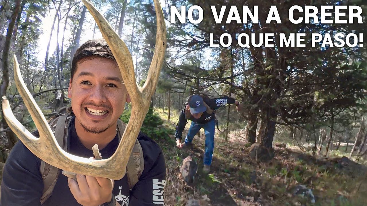 Me Fui A Buscando Cuerno De Venado, Y Me Salío Un Puma!😳