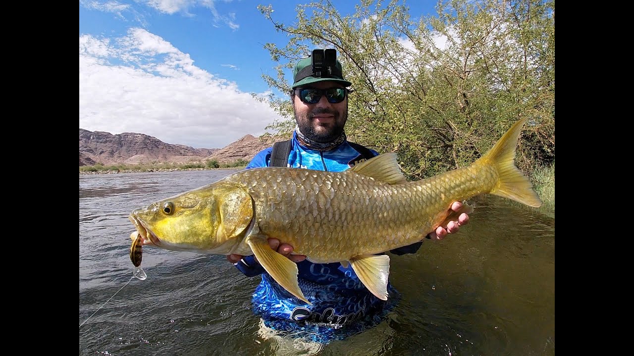 Yellow Fever @ the Orange River Part 1 (Spinning for Yellowfish)