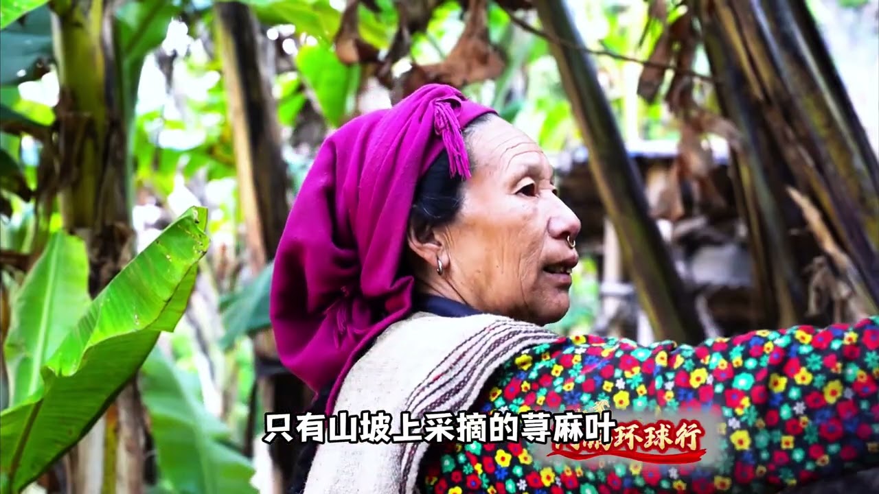 尼泊尔山区住着一对老夫妻，一辈子无儿无女，日子过得艰辛却温馨#新农人计划#尼泊尔生活#民族风情