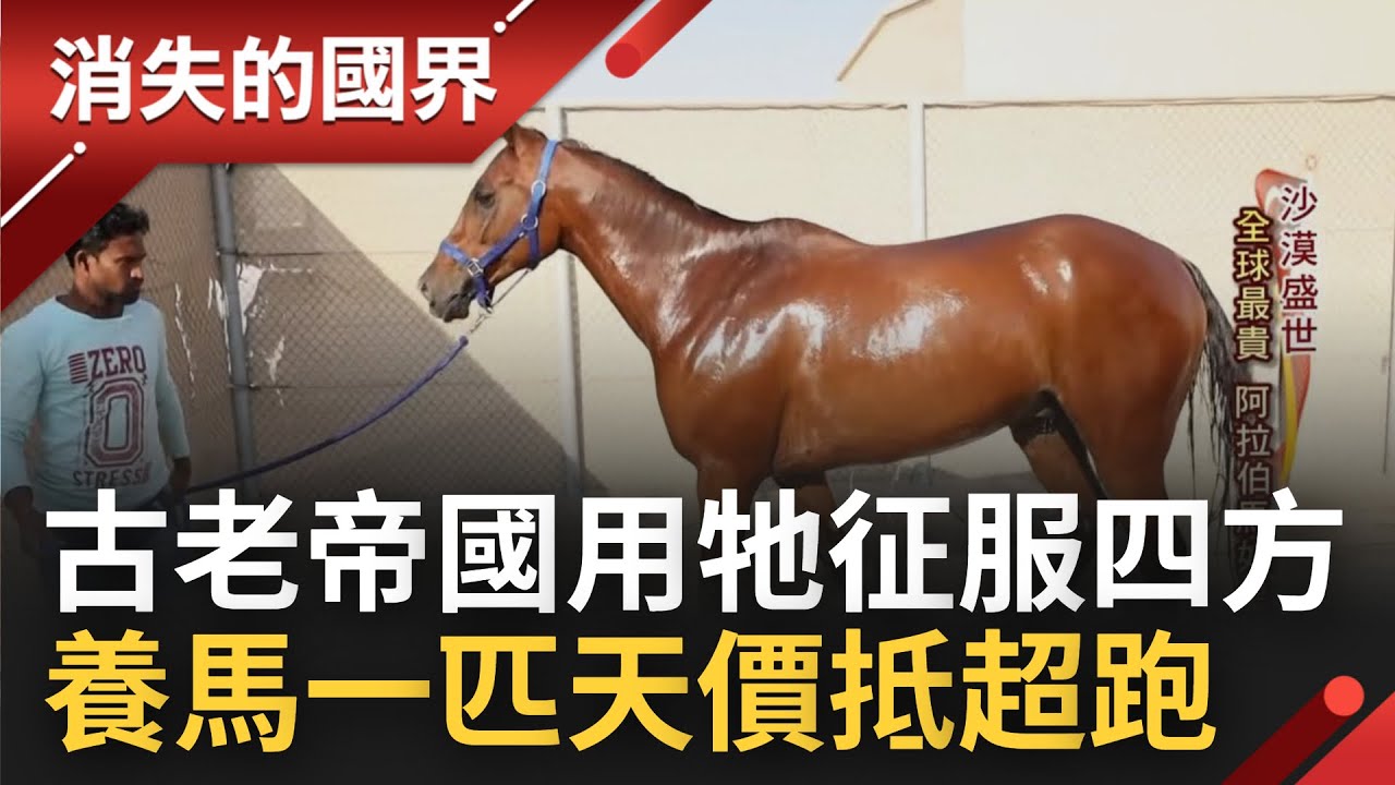 馬匹裡的皇族是他! 全球最貴