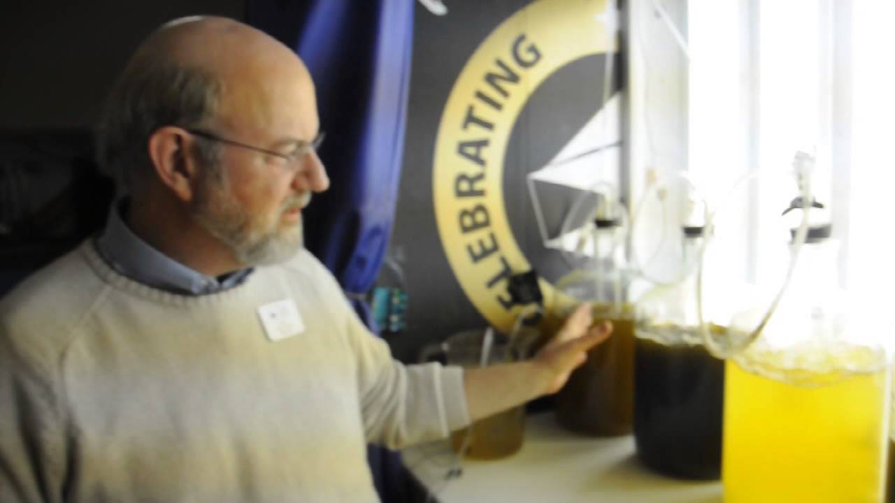 Behind the Scenes at the Calvert Marine Museum