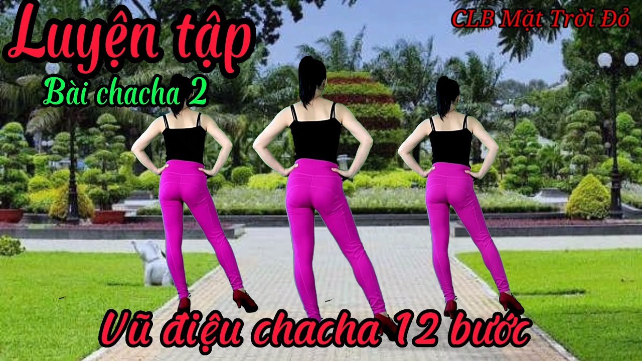 Khớp nhạc luyện tập /12 bước cơ bản /bài 2