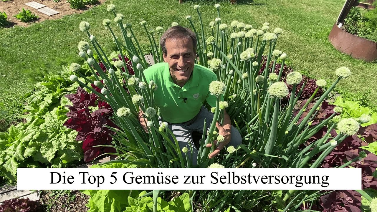 Die TOP 5 Gemüse zur Selbstversorgung 🥬die ertragreichsten Kulturen im Portrait