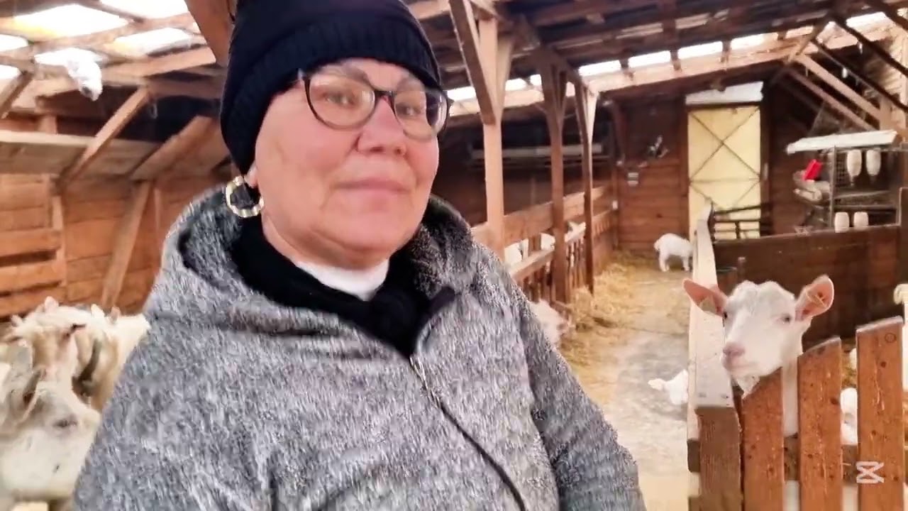 Ințărcăm iezii  ! ( Episodul 4 )