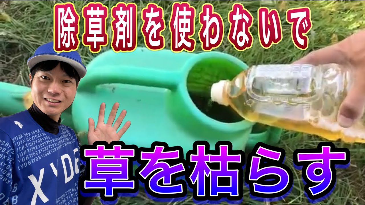 徹底解説！除草剤を使わないで草を枯らす【現代農業】