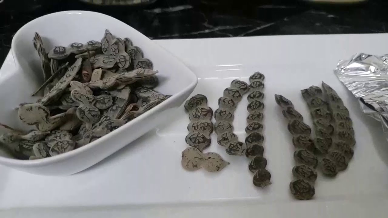 Wax Kabaro Moringa  seeds Fawaaidkisa