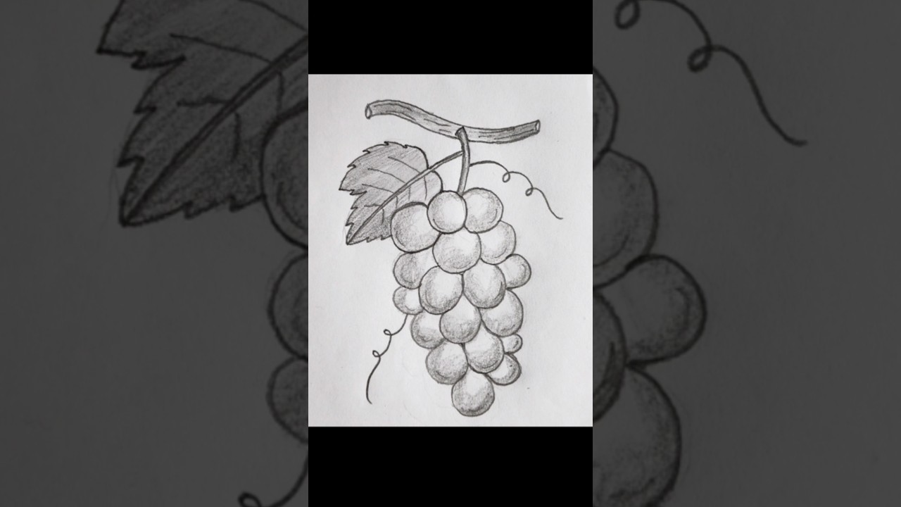 How to Draw Grapes | step by step 🍇 drawing tutorial #shorts