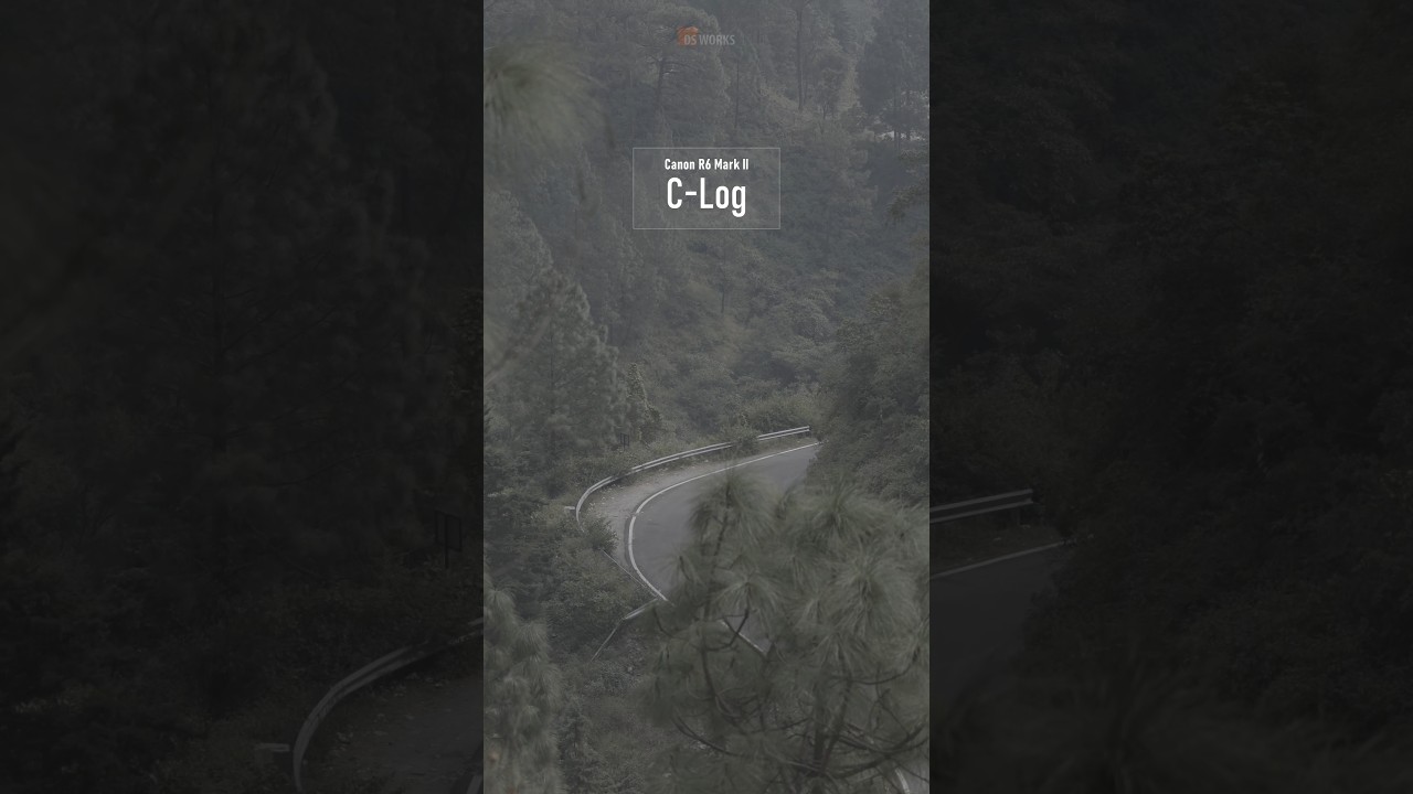 canon C-Log footage color grading 7 / canon R6 mark 2