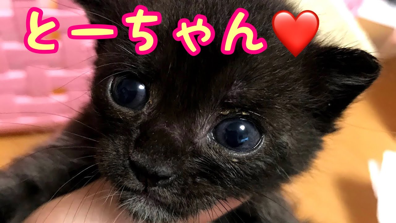 くまごろうは 絶対 渡さん！byおやじ