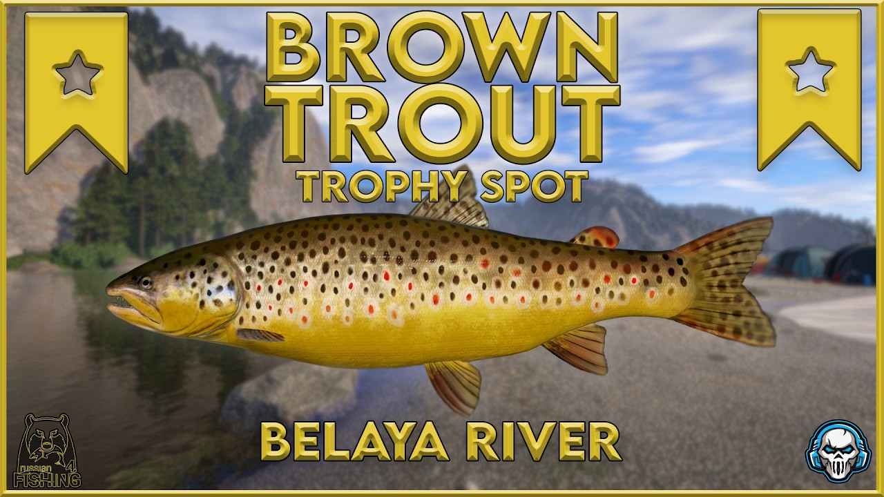 BROWN TROUT TROPHY SPOT! BELAYA RIVER - Russian Fishing 4 #rf4 #русскаярыбалк