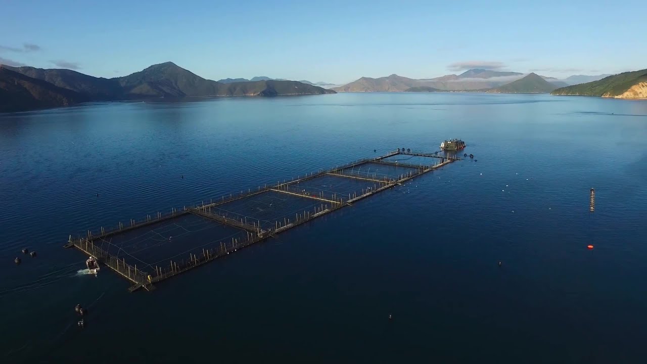 Shared Horizons 25 — United Fisheries