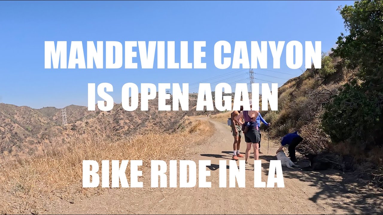 Mandeville Canyon Is Open Again &ndash; Sunny Ride from Venice Beach