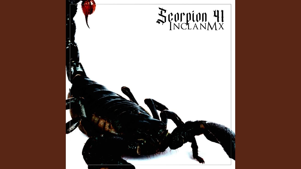 Scorpion 41