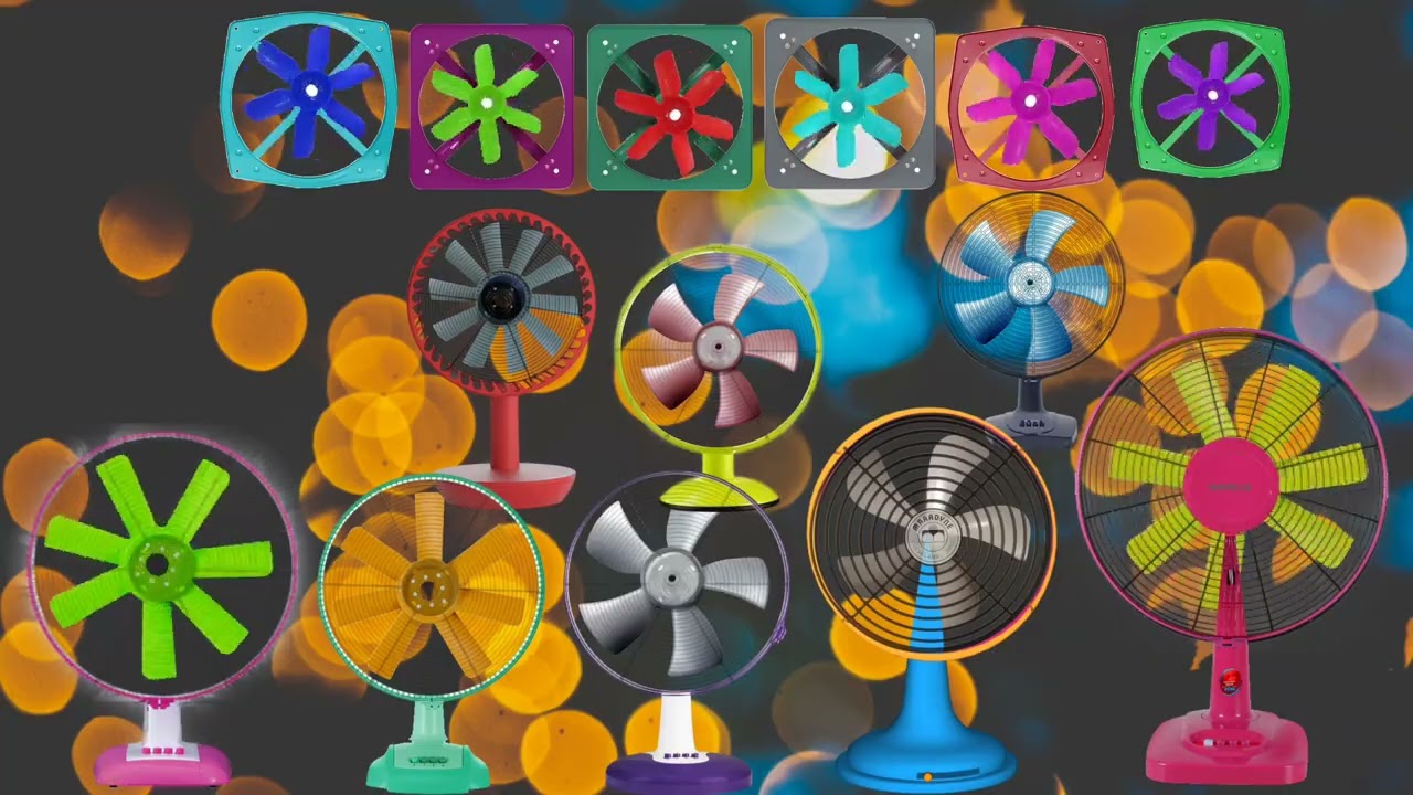 Colorful Fans Collection | Unique and Vibrant Designs