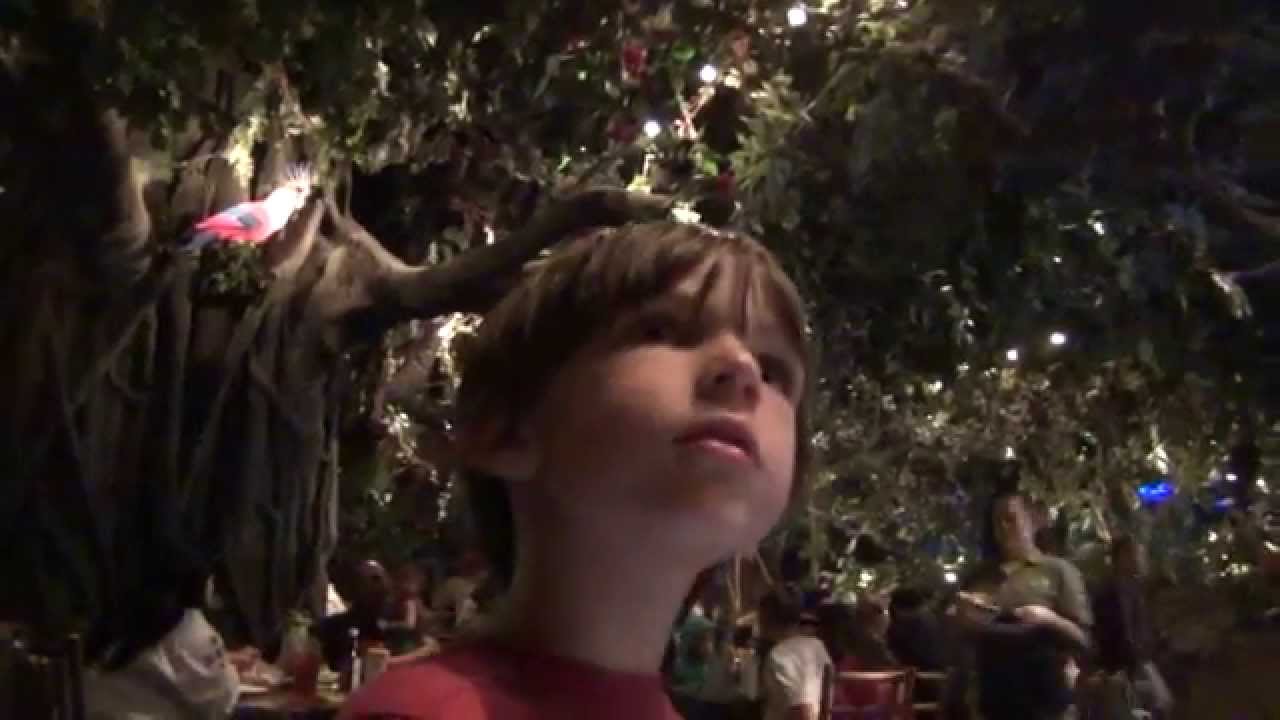 Rainforest Cafe Sawgrass Mills Mall Sunrise Florida