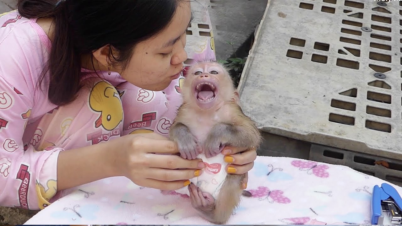 [Very Sharply Sound] Baby Moly Cry Angry When Mom Kiss Him | Moly Very Cute With New Clothes