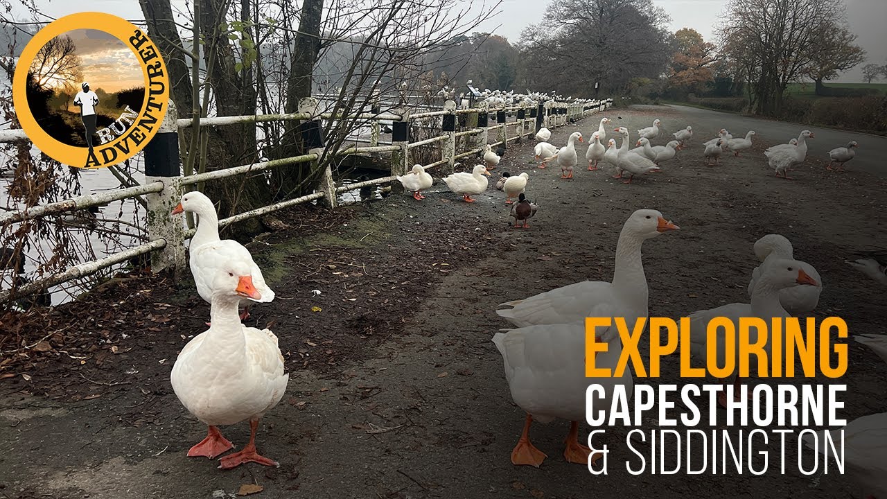 Exploring Siddington - Redesmere Lake & Capesthorne Hall, Macclesfield, Cheshire