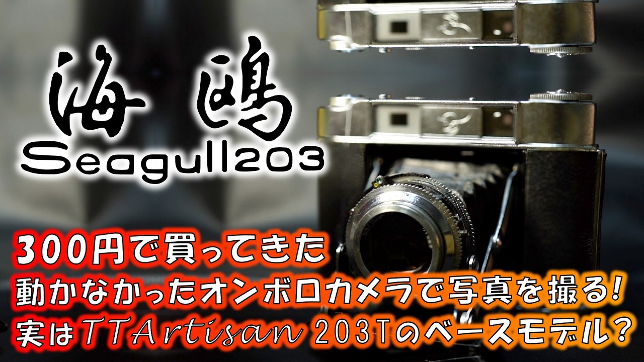 【レビュー】中華中判レンジファインダーカメラ「海鸥203」の魅力と使い方を解説