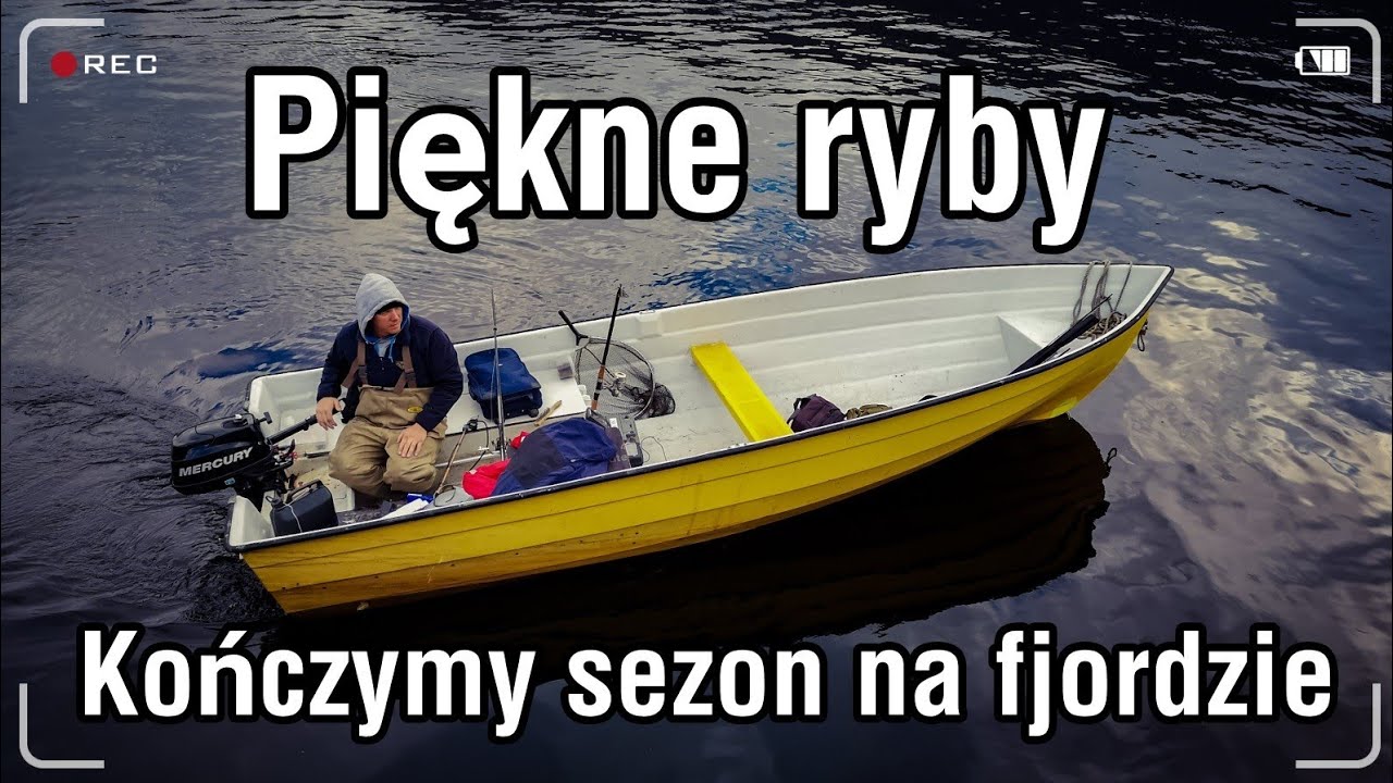 Wędkarstwo w norwegii łowimy we fjordzie/duże rdzawce/wędkarstwo 2021#wędkowanie #norwegia #fishing